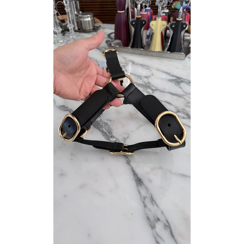 Gucci Black Demetra Dog Harness Gold Hardware‎ Large 695253 NEW - Picture 10 of 15
